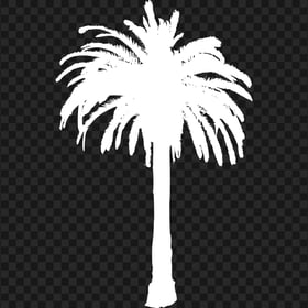 Palm Tree White Silhouette PNG