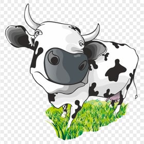 HD Cartoon Black & White Calf Cow PNG