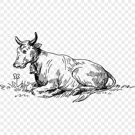 HD Sitting Cow Black Sketch Drawing Art PNG