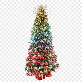 HD Beautiful Real Decorated Christmas Palm Tree With Gifts PNG