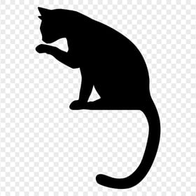 Silhouette of Black Cat Licking HD Transparent Background