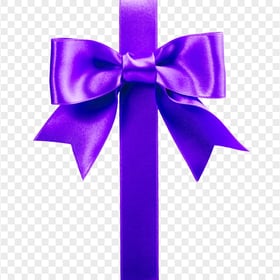 Purple Textile Ribbon Bow Tie FREE PNG