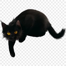 Stunning Realistic Black Cat Painting HD Transparent PNG