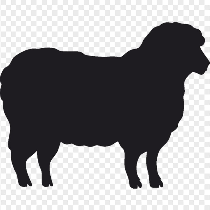 Standing Sheep Black Silhouette Shape
