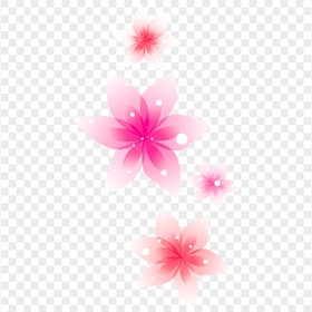 Pink Vector Flowers HD PNG