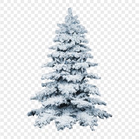 HD Real Christmas Tree Covered With Snow PNG