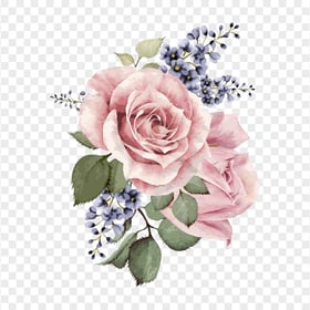 PNG Watercolor Pink Garden Roses