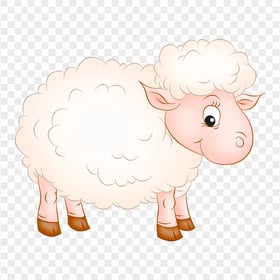 Sheep Lamb Illustration Cartoon Character