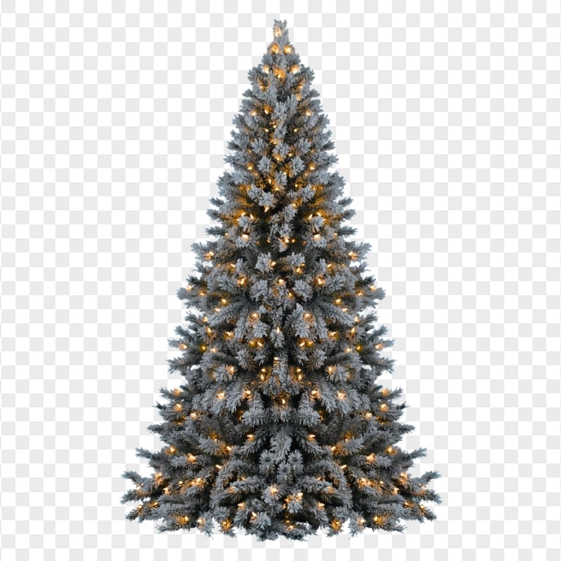 HD Real Christmas Tree With Lights PNG