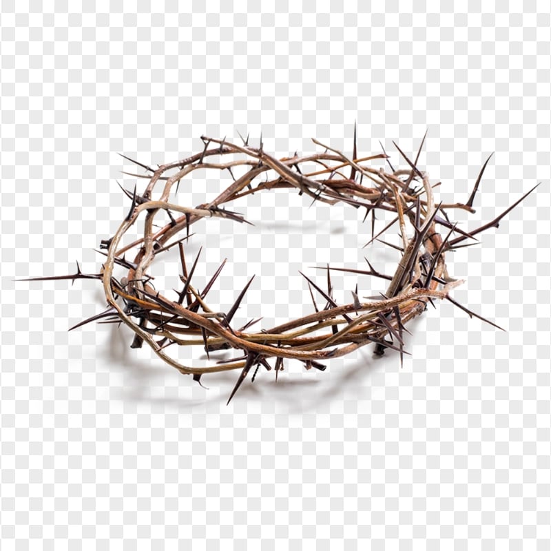 Crown Of Thorns Christian Spines Good Friday