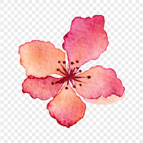PNG Orange Red Petaled Watercolor Flower