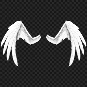 Transparent HD White Angel Wings