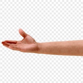 Male Right Hand Arm Open Palm HD Transparent PNG