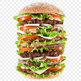 HD Delicious Juicy Burger Transparent PNG