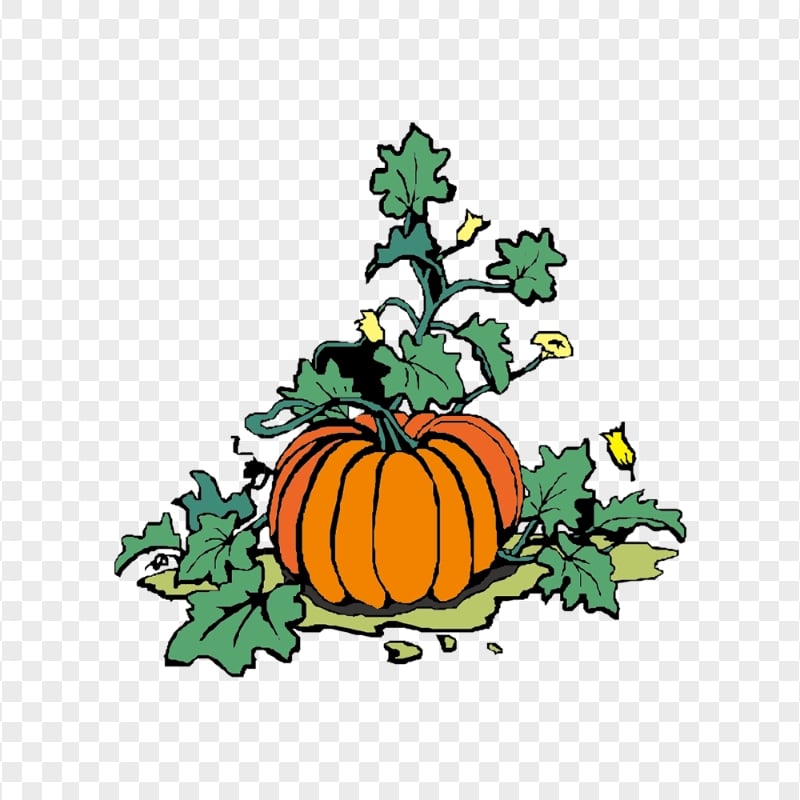 Vector Pumpkin With Green Leaves