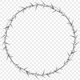 Crown Of Thorns Circle Frame Metal Spines