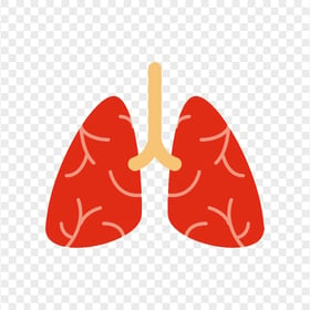 Cartoon Lung Lungs Clipart Respiratory System Icon