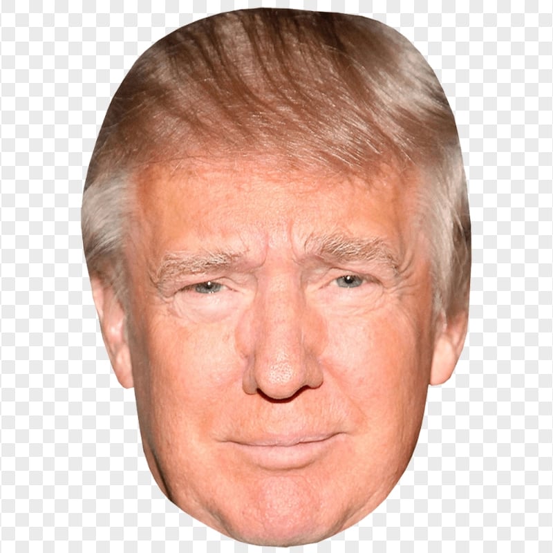 Donald Trump President Head
