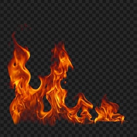 HD Real Wildfire Fire Flame Transparent PNG