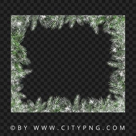 Square Snowy Pine Branches Frame Image PNG