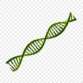 Green DNA String PNG Image