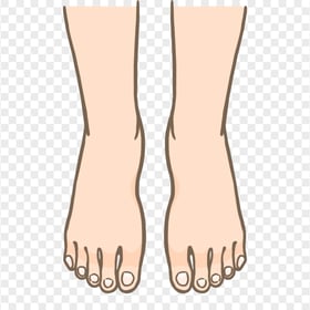 Cartoon Clipart Foot Fingers HD Transparent PNG