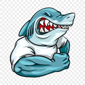 Cartoon Shark Strong Wild Mascot Character HD PNG