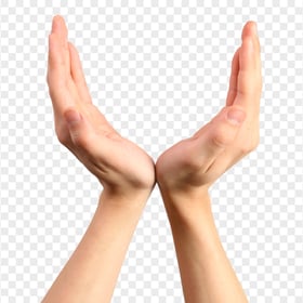 Open Hands Praying Palms Gesture PNG