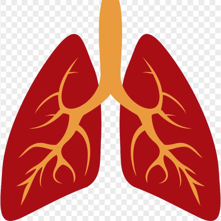 Cartoon Lungs Lung Bronchus Illustration Clipart