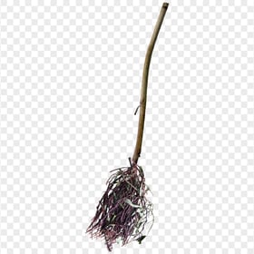 Download Halloween Real Witch Broom Branch PNG