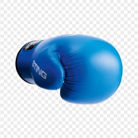 Blue Boxing Glove Box Kickboxing Muay Thai