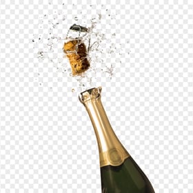 FREE Champagne Wine Wedding Bottle Splash PNG