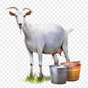 HD Dairy Goat Milk PNG