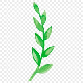 Green Leaves Branch Painting Watercolor PNG