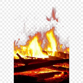 HD Bonfire Firewood Wood Fire Burning PNG
