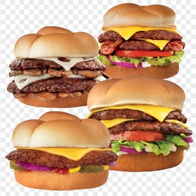 HD Group Of Burgers Sandwiches PNG