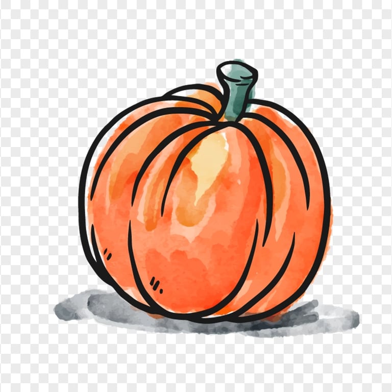 Watercolor Orange Drawing Pumpkin