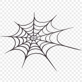 HD Spider Web Draw PNG 