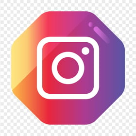 Instagram White Logo In Hexagonal Shape Icon