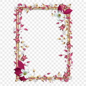 HD Roses Flowers Floral Vertical Photo Frame PNG