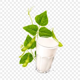 HD Milk Glass With Green Tea Leaves PNG