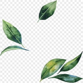 HD Green Painting Falling Leaves PNG