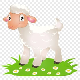 HD White Sheep Lamb Illustration Cartoon PNG