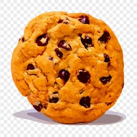 Realistic Illustration Cartoon Cookie Biscuit HD PNG