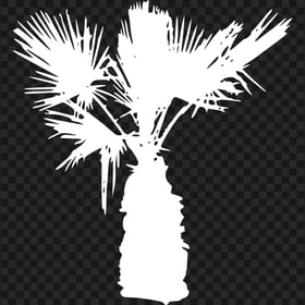 White Mini Palm Tree Silhouette PNG
