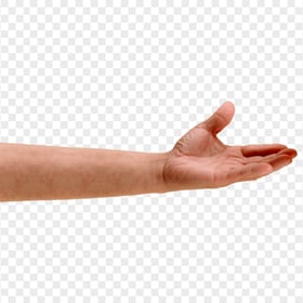 HD Male Left Hand Arm Open Palm Transparent PNG