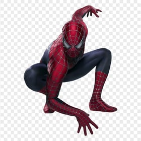HD spider man realistic PNG