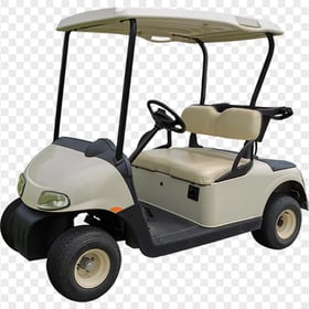 Golf Buggies Cart Car Vehicle Two Seater