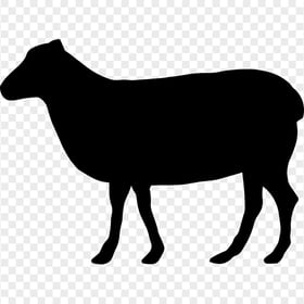 Sheep Animal Black Silhouette Image PNG