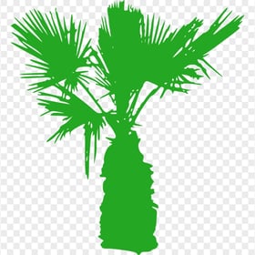 Download Green Mini Palm Tree Silhouette PNG